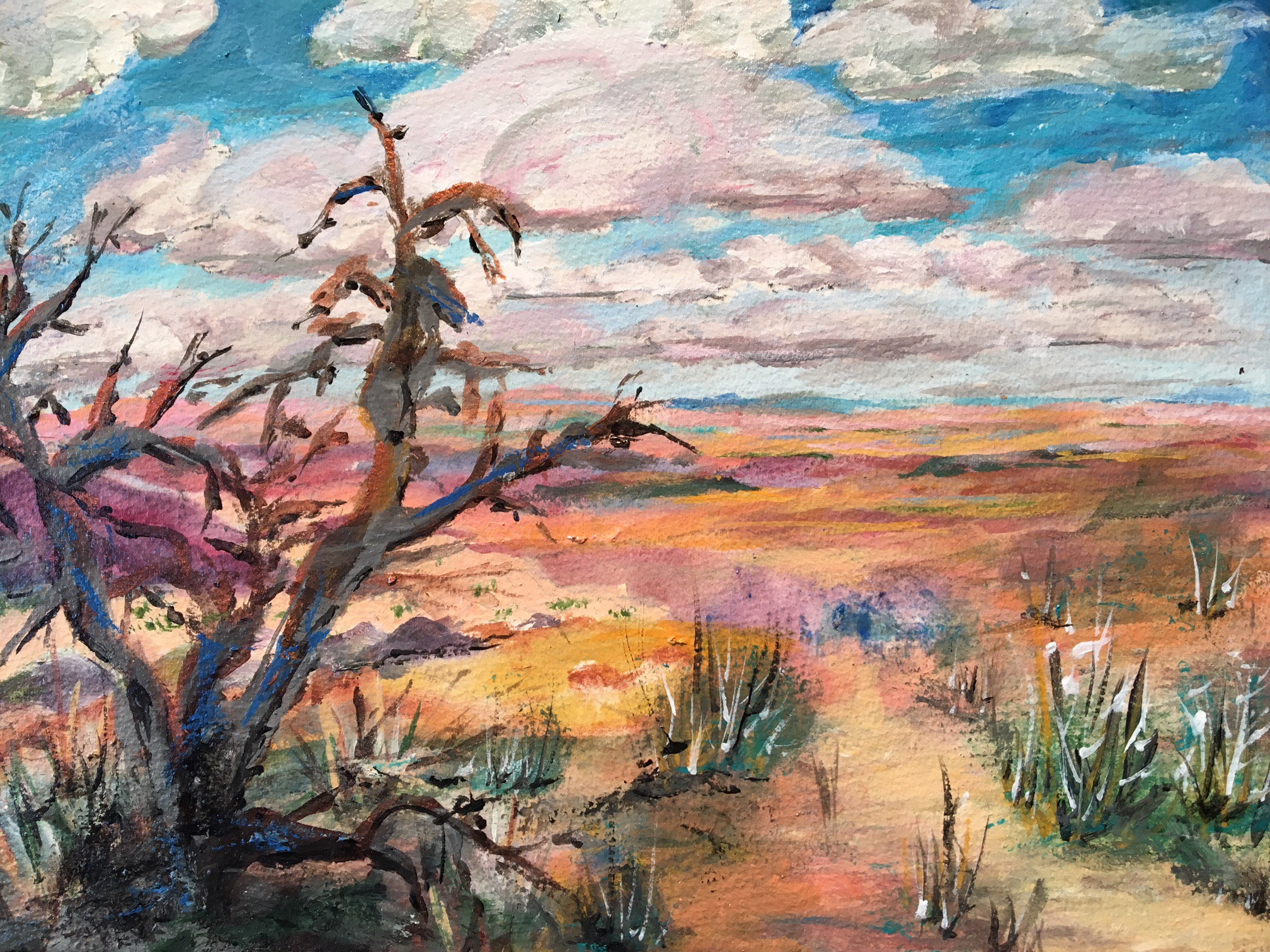 Painted Desert